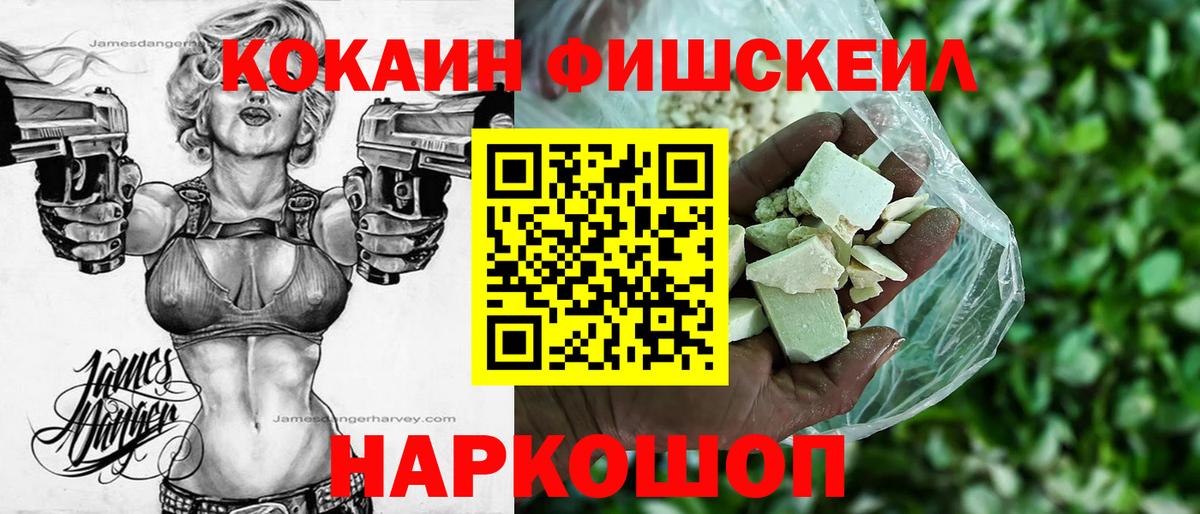 КОКАИН Fish Scale Будённовск