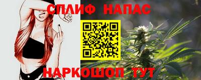 гашик Аргун