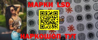 гашик Аргун