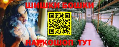 гашик Аргун