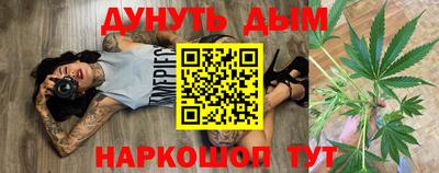 гашик Аргун
