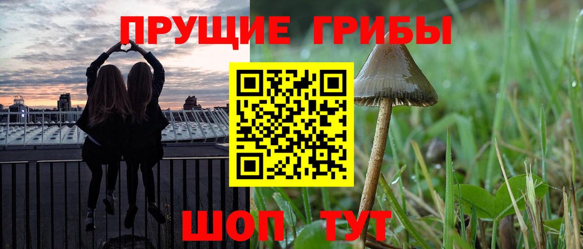 Будённовск  Псилоцибиновые грибы GOLDEN TEACHER  Псилоцибиновые грибы ЛСД  Вход с VPN 
